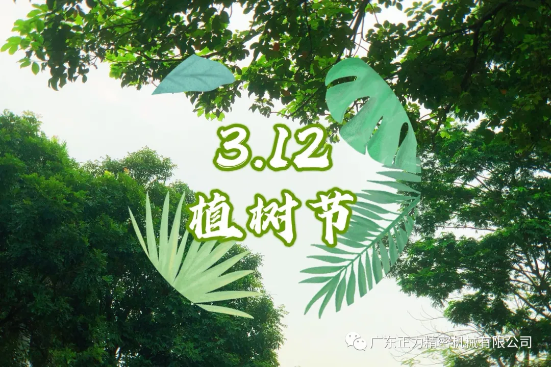 “3.12植樹節”——全民義務植樹40周年